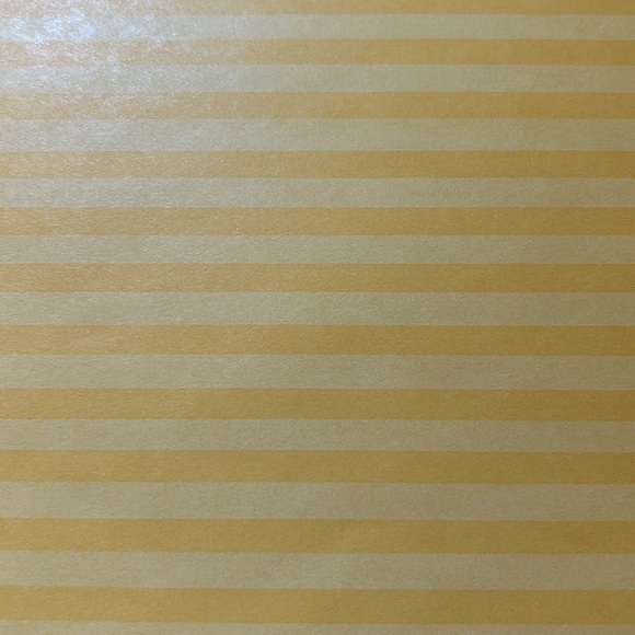 CTMH scrapbook paper - Picture 8 of 10